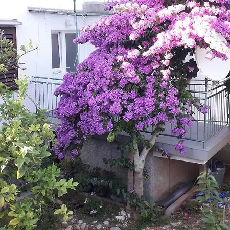 Arancia Apartman *